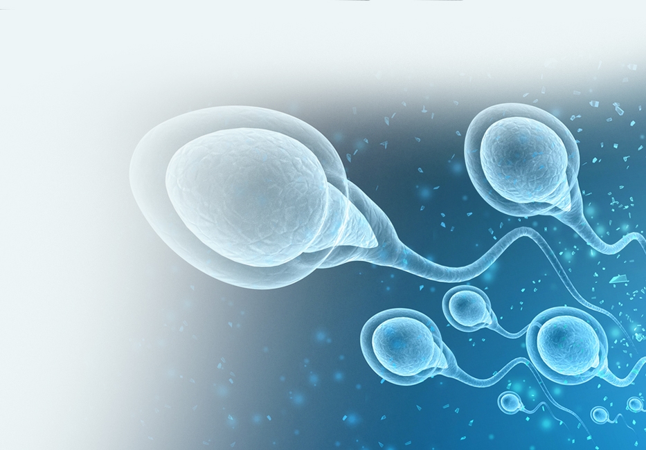 Buy Male Fertility Supplements Online Buy Male Fertility Test UK Meds