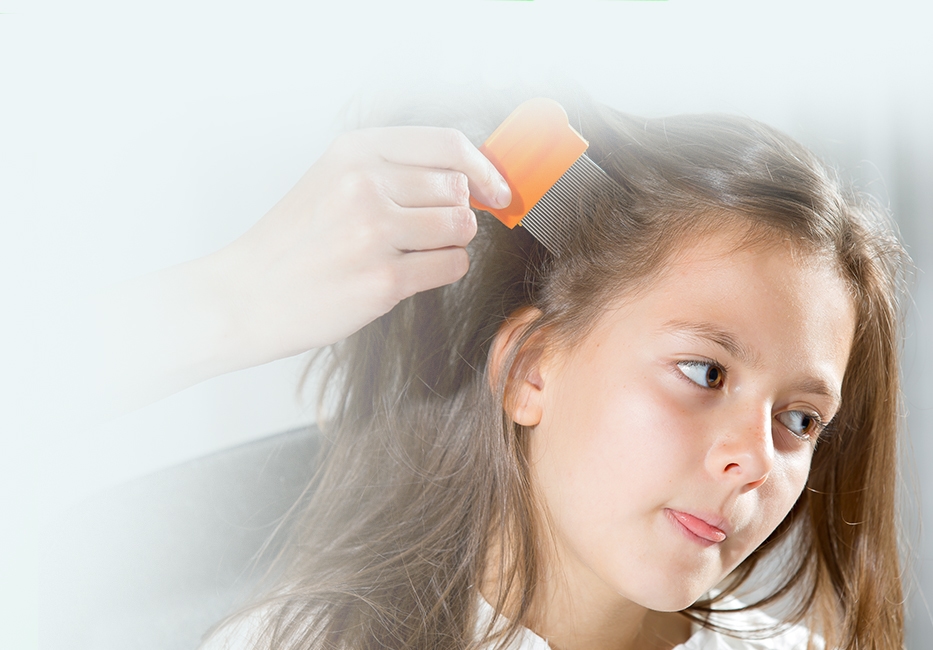 Buy Head Lice Treatment Online Scabies Treatment Head Lice Shampoo