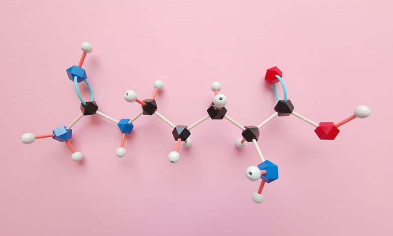 A model of a branch chain of amino acids
