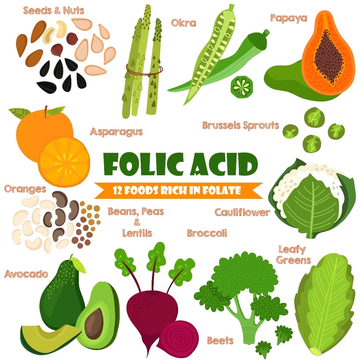 A variety of foods that are rich in folic acid