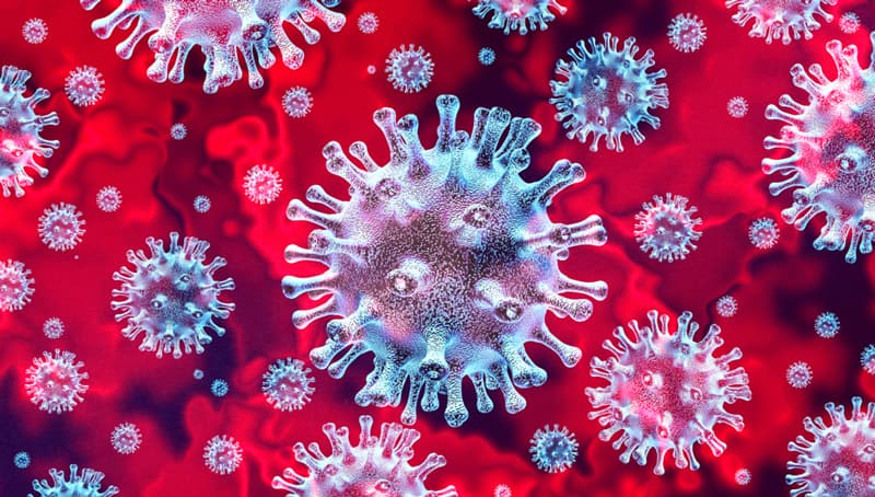 Coronavirus molecules
