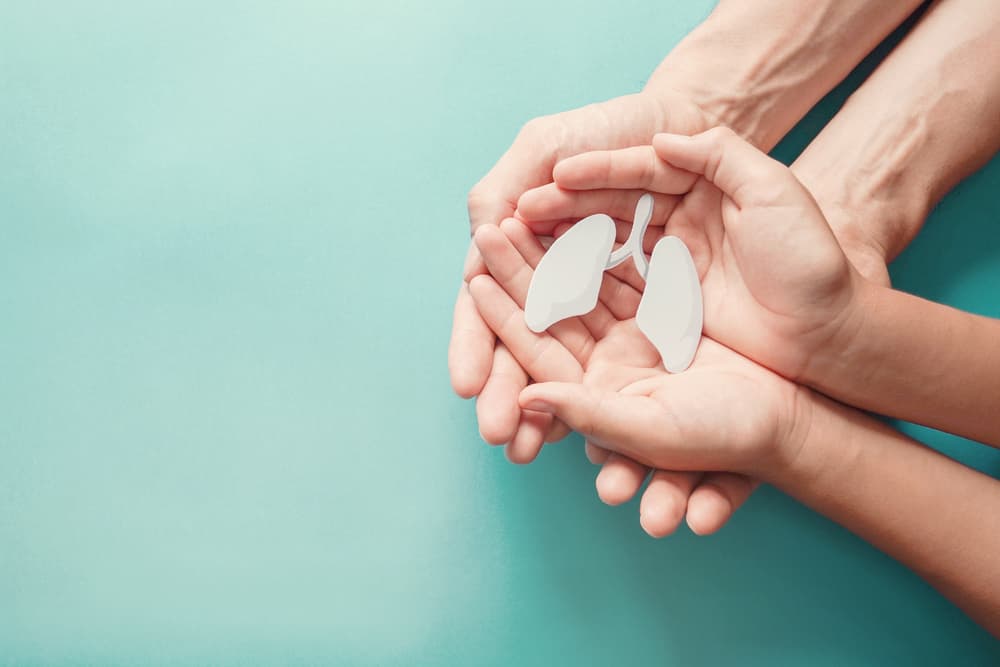 A pair of toy lungs being held by an adult and child's hands