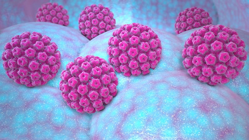 Close up view of HPV