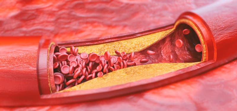 Blood platelets in a blood vessel