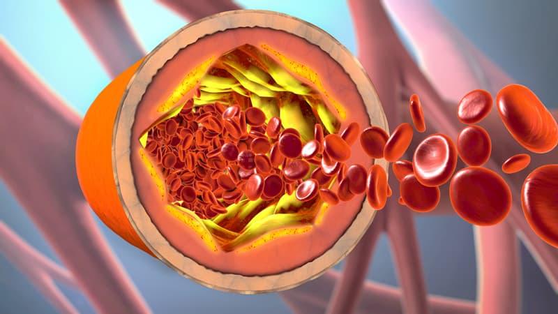 Red blood cells in a blood vessel