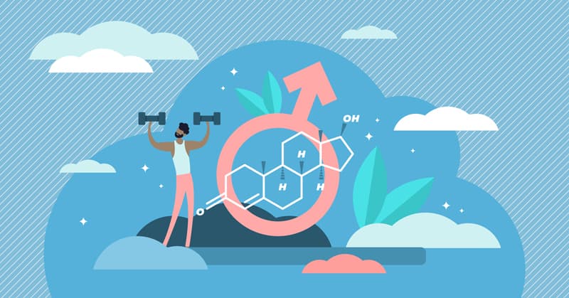 An illustration representing male hormones