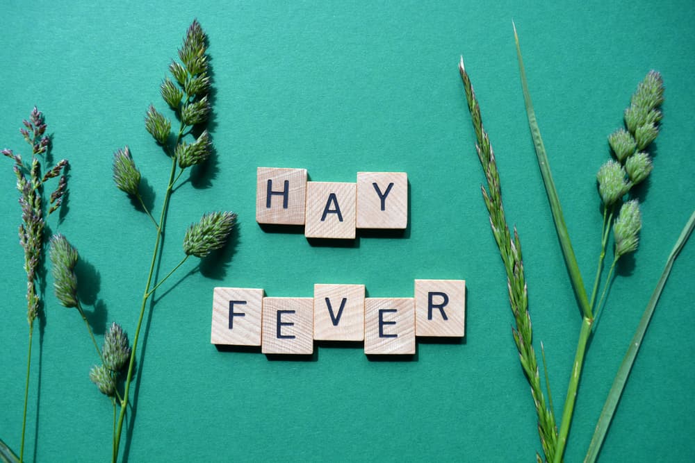 Letters spelling out the phrase 'hay fever'