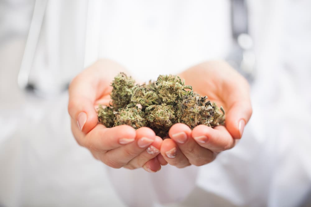 A doctor holding some medical cannabis in their hands