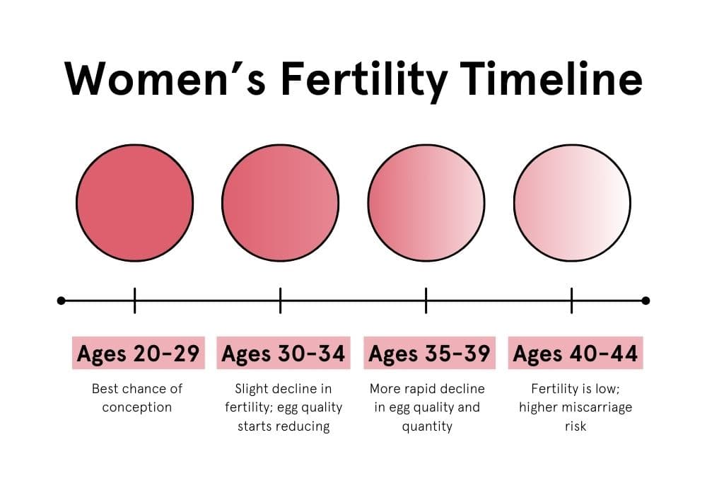 Women’s Fertility Timeline - UK Meds