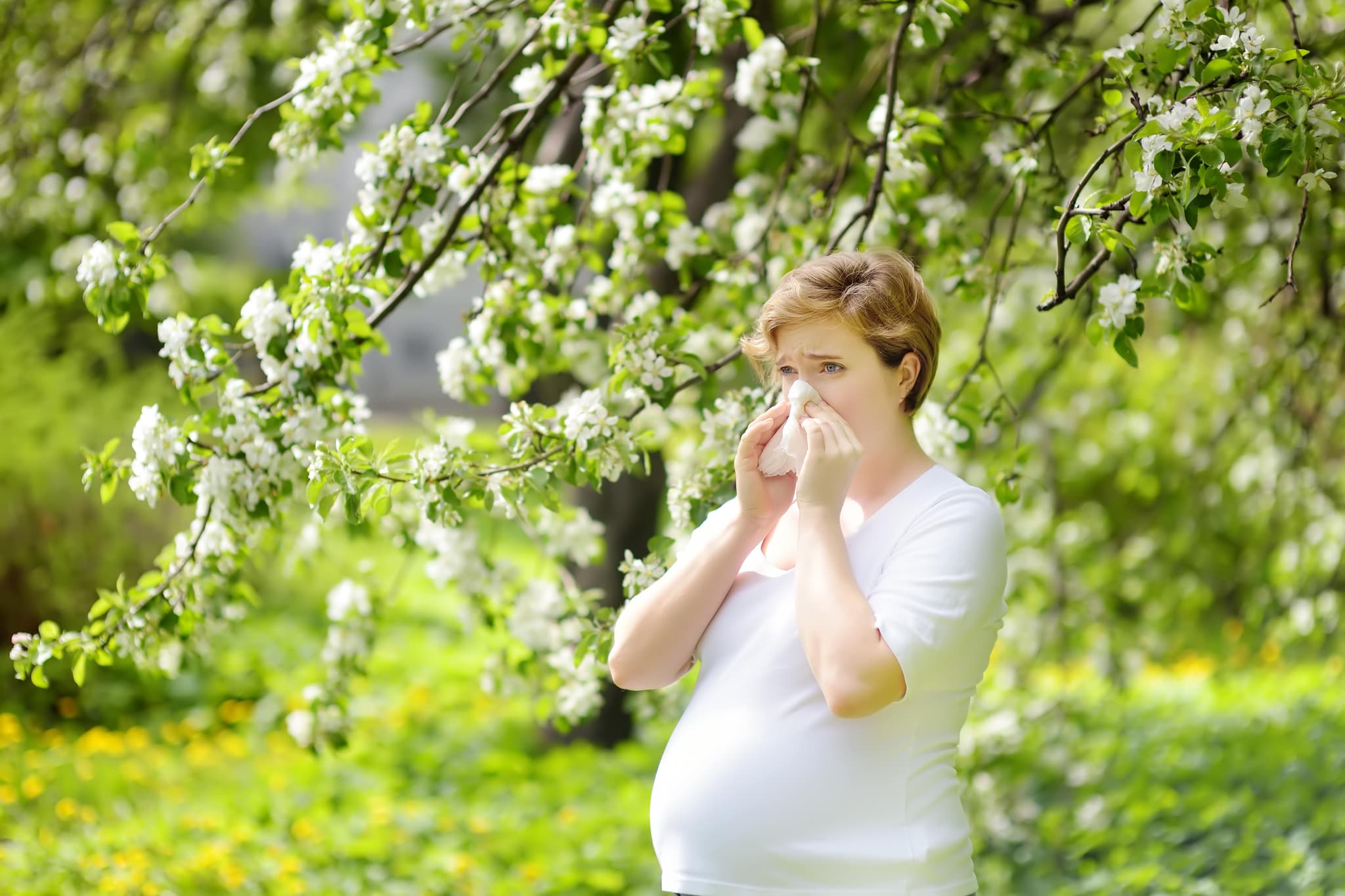 best-worst-european-travel-destinations-for-hay-fever-sufferers