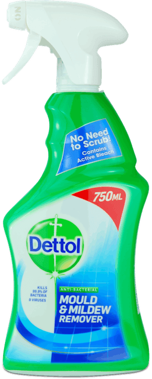 Dettol Anti-Bacterial Mould & Mildew Remover 750ml