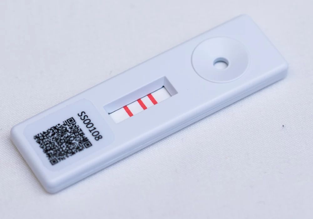 antigen home test kit fit to fly