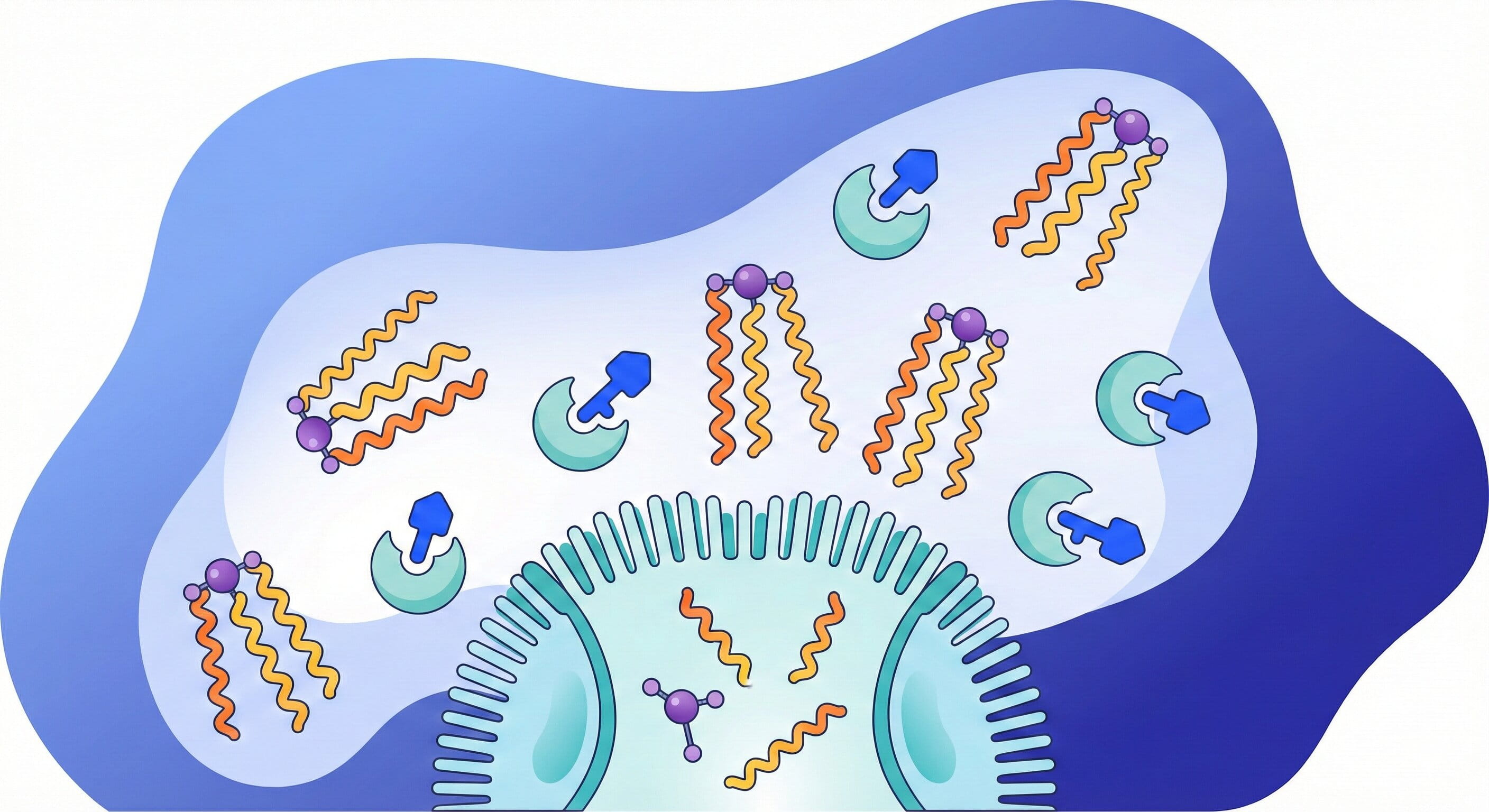 Orlistat mechanism of action blocking lipases in the human digestive system